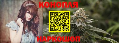 прущие грибы Анжеро-Судженск