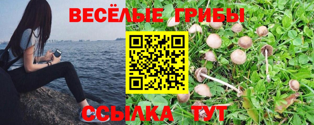 Кохма  купить наркоту  Вход с VPN  Псилоцибиновые грибы мухоморы 